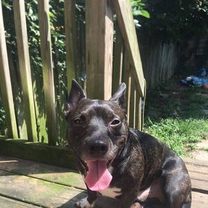 Meet your Posher, Tabitha